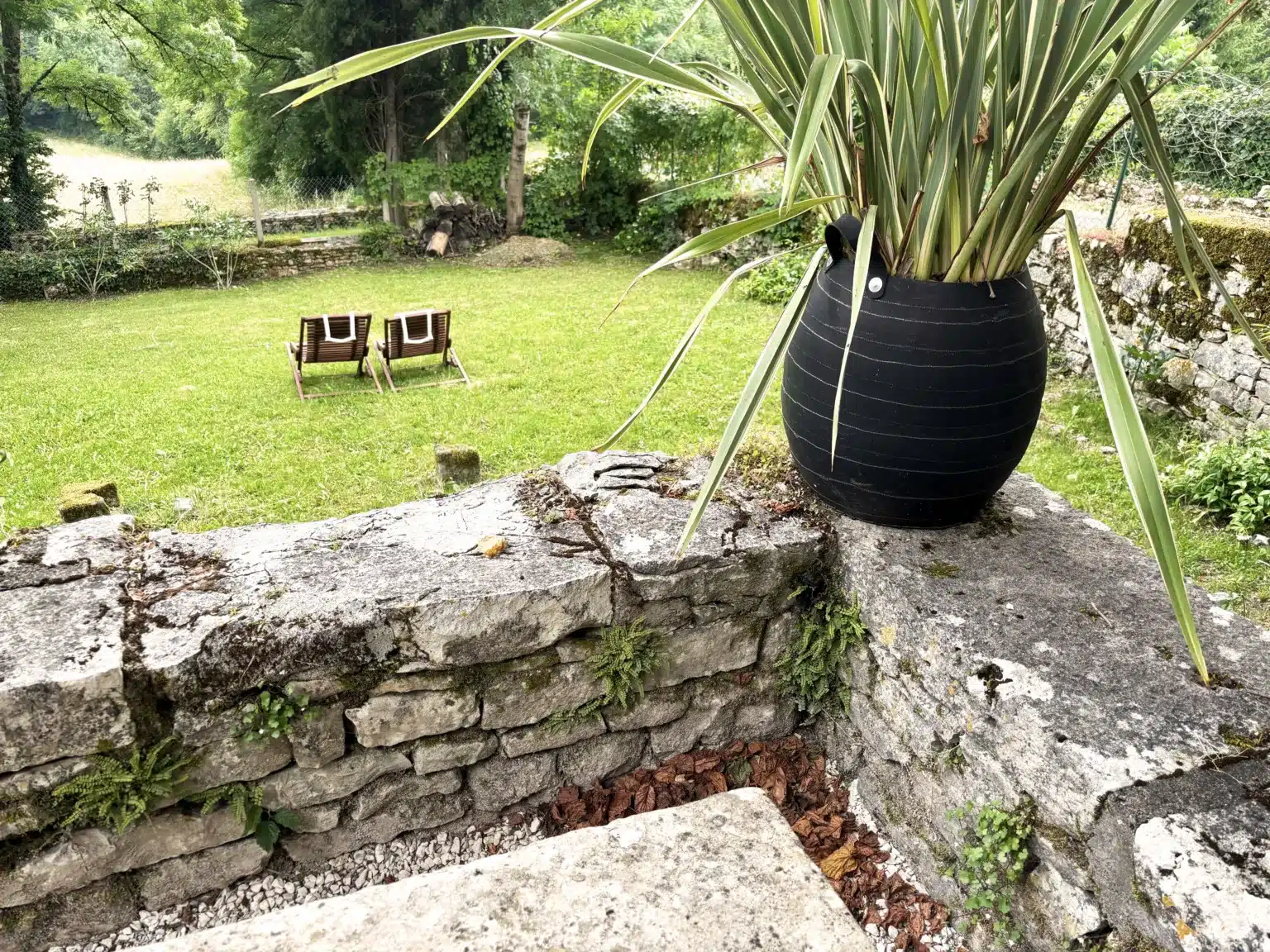 Le jardin